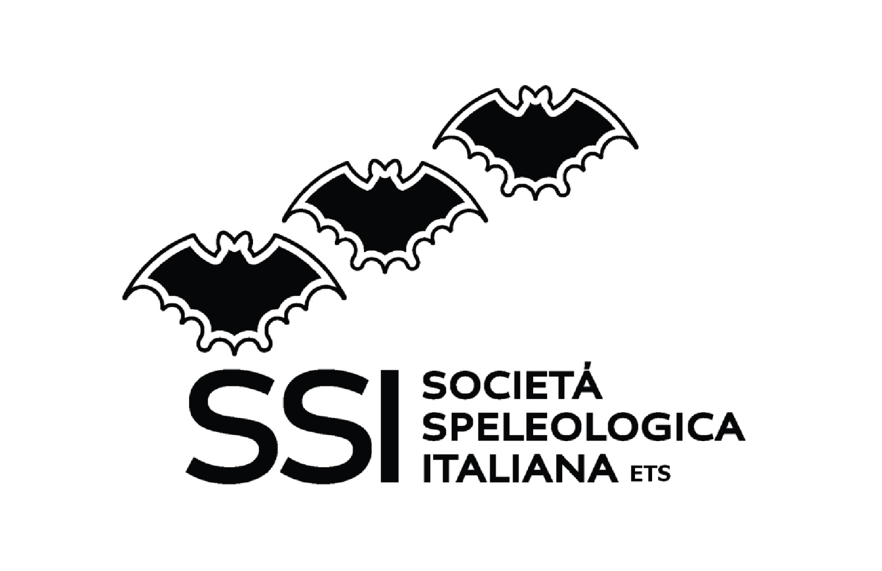 Sergio Orsini, Presidente della Società Speleologica Italiana, parla dei 5 elementi e invita al Raduno di Costacciaro